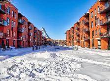 1 bedroom condo for rent in Hochelaga-Maisonneuve - Photo 15