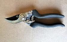 Pruning Shear