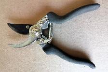 Pruning Shear - Photo 2