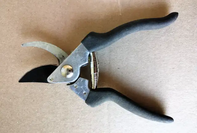 Pruning Shear - Photo 3