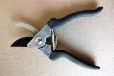 Pruning Shear - Photo 3