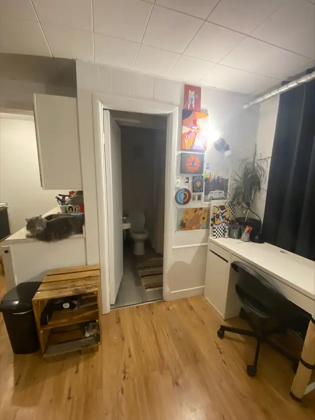 1ER JUILLET, 1 1/2 À LIMOILOU, CHAUF/ÉCLAIRÉ, WIFI, SEMI-MEUBLÉ - Photo 4