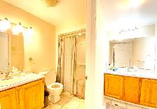Room For Rent (On The Hill Uptown) Dog & Cat Friendly - May 1st - Photo 3