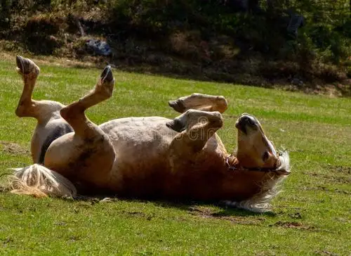 In Need of Job and Immediate Help