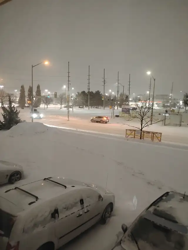 In Need of Job and Immediate Help - Photo 2