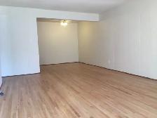 1 bedroom apartment - NOW SHOWING! - Photo 4