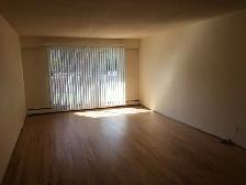 1 bedroom apartment - NOW SHOWING! - Photo 5