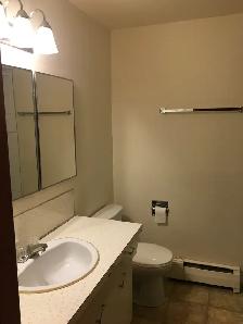 1 bedroom apartment - NOW SHOWING! - Photo 6