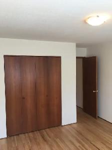 1 bedroom apartment - NOW SHOWING! - Photo 8