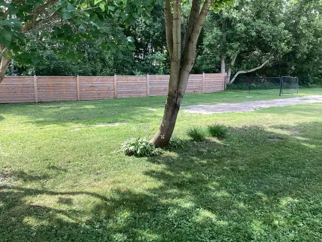 Building Lot for Sale - Photo 3