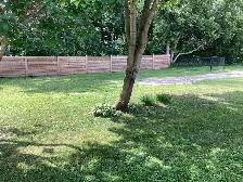 Building Lot for Sale - Photo 3