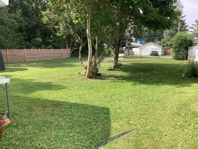 Building Lot for Sale - Photo 4