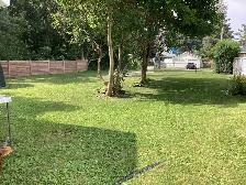 Building Lot for Sale - Photo 4