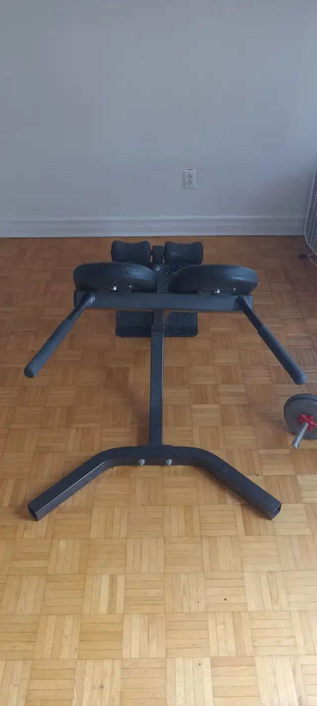 back strengthening machine for sale $250