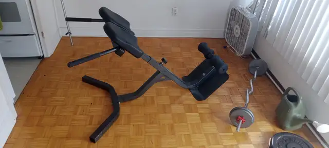 back strengthening machine for sale $250 - Photo 3