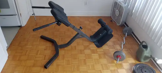 back strengthening machine for sale $250 - Photo 4