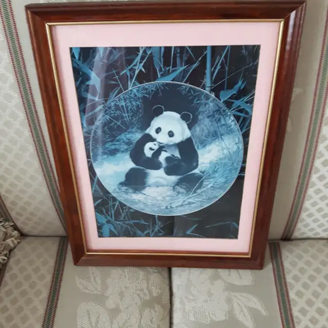 BEAU CADRE VITRÉ 10'x14' MAMAN PANDA SON BÉBÉ DANS BRAS: $20.00