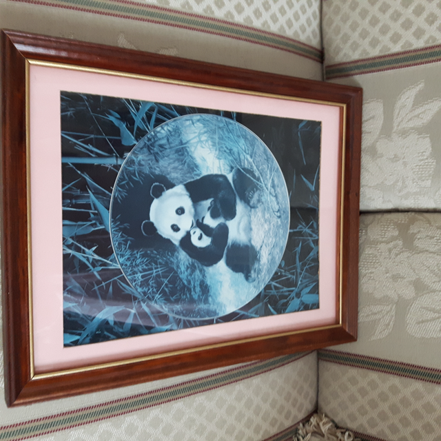 BEAU CADRE VITRÉ 10'x14' MAMAN PANDA SON BÉBÉ DANS BRAS: $20.00 - Photo 2