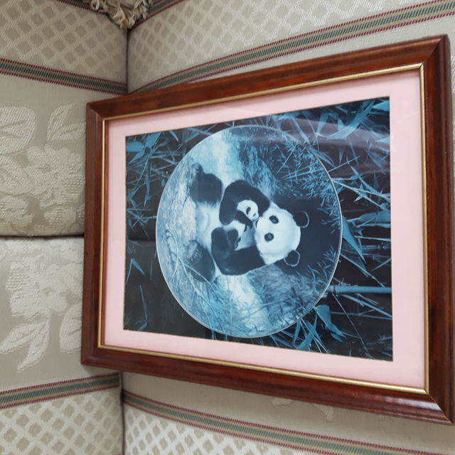 BEAU CADRE VITRÉ 10'x14' MAMAN PANDA SON BÉBÉ DANS BRAS: $20.00 - Photo 3