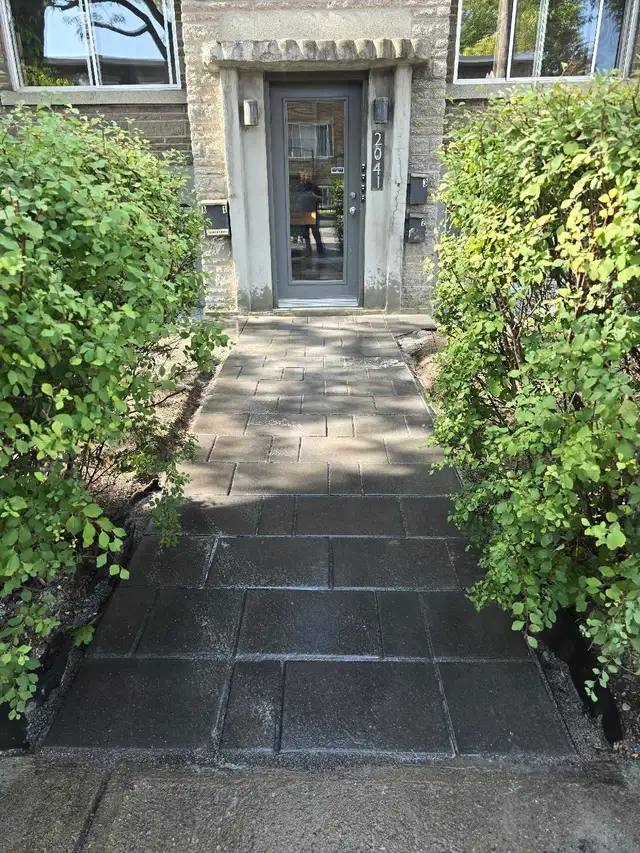 paysagiste  DDL - Photo 6