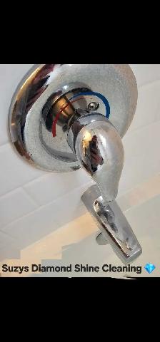 Suzys Diamond Shine Cleaning - Photo 2