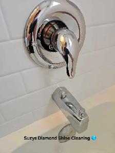 Suzys Diamond Shine Cleaning - Photo 3