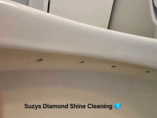 Suzys Diamond Shine Cleaning - Photo 5