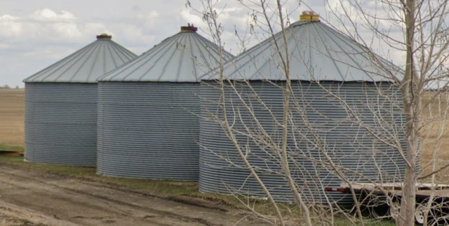 Three (3) Grain Bins For Sale