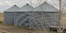 Three (3) Grain Bins For Sale