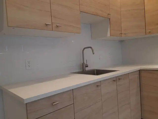 3 1/2 et 4 1/2  à louer à Saint-Rémi - Photo 6