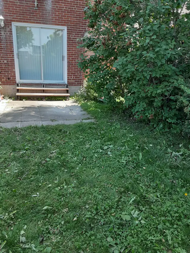 3 1/2 et 4 1/2  à louer à Saint-Rémi - Photo 10