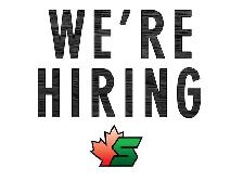 Hardwood Flooring Sand & Finish Technician