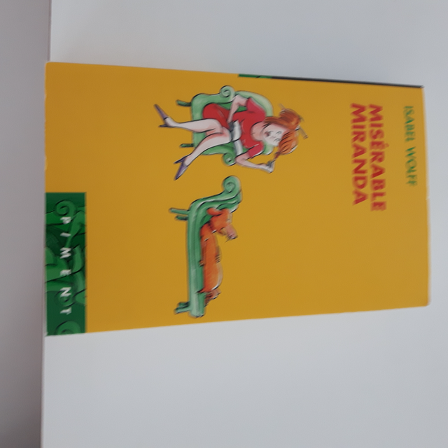 BON ROMAN NEUF D'ISABELLE WOLFF MISÉRABLE MIRANDA 486 PAG $5.00 - Photo 3