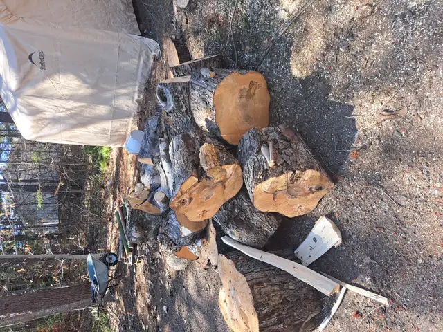 FREE FIREWOOD (hardwood)