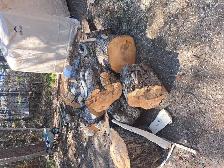 FREE FIREWOOD (hardwood)