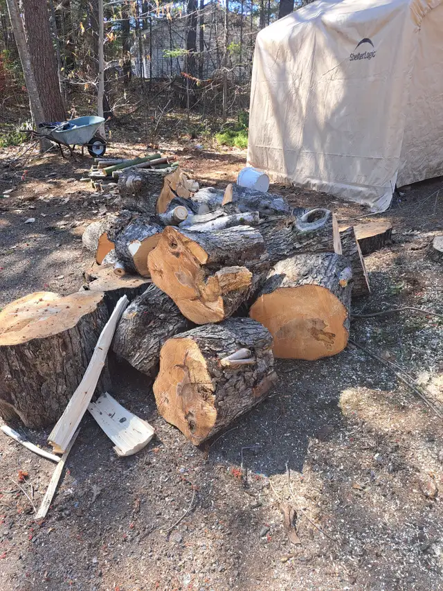 FREE FIREWOOD (hardwood) - Photo 2