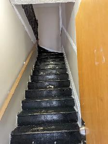 262 King St East - 4BR Uptown, H L incl, Parking, W/D, Balcony - Photo 15