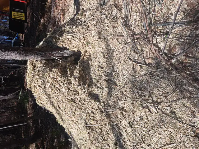 FREE WOOD CHIPS - Photo 2