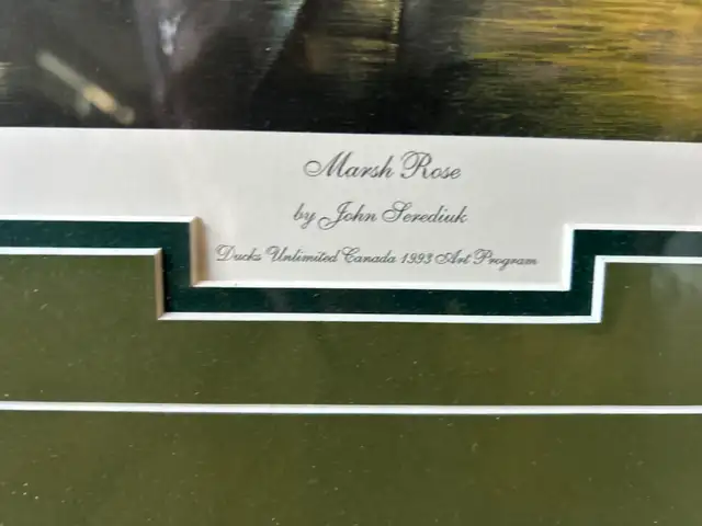 ONE DUCKS UNLIMITED 1993 COLLECTABLE PRINTAS PICTURED - - Photo 3