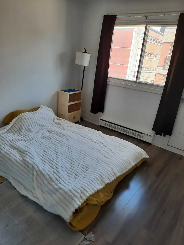 3 1/2 à sous-louer - Photo 2