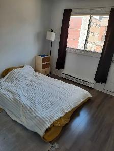 3 1/2 à sous-louer - Photo 2