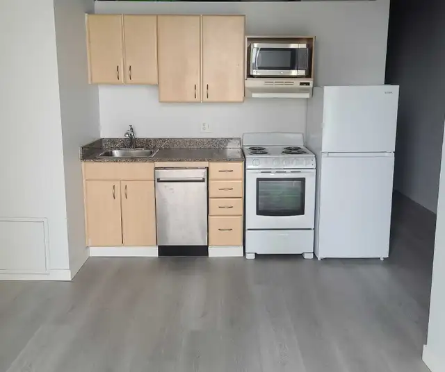 One bedroom loft for rent - Photo 3