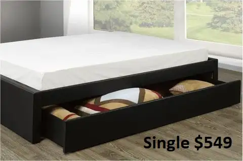 MIKE HAS NEW CANADIAN MADE PLATFORM BEDS WITH TRUNDLE!