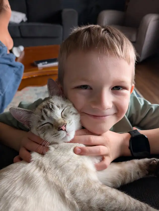 Israel - a sweet, playful 6month old kitten - Photo 2