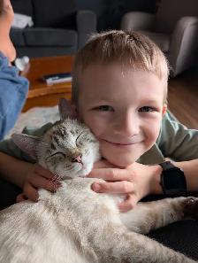 Israel - a sweet, playful 6month old kitten - Photo 2