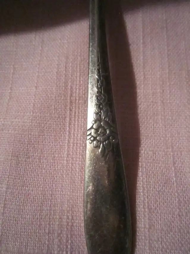 #13-51F  FANTASY silverware set for 8