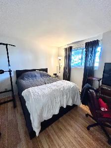 apartement 1 chambre 1 salle de bain - Photo 3