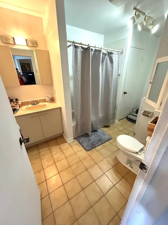 apartement 1 chambre 1 salle de bain - Photo 5