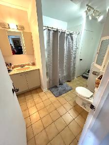 apartement 1 chambre 1 salle de bain - Photo 5