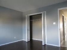 Beautiful Westside Two-Bedroom House (Top Floor, Private Yard) - Photo 6